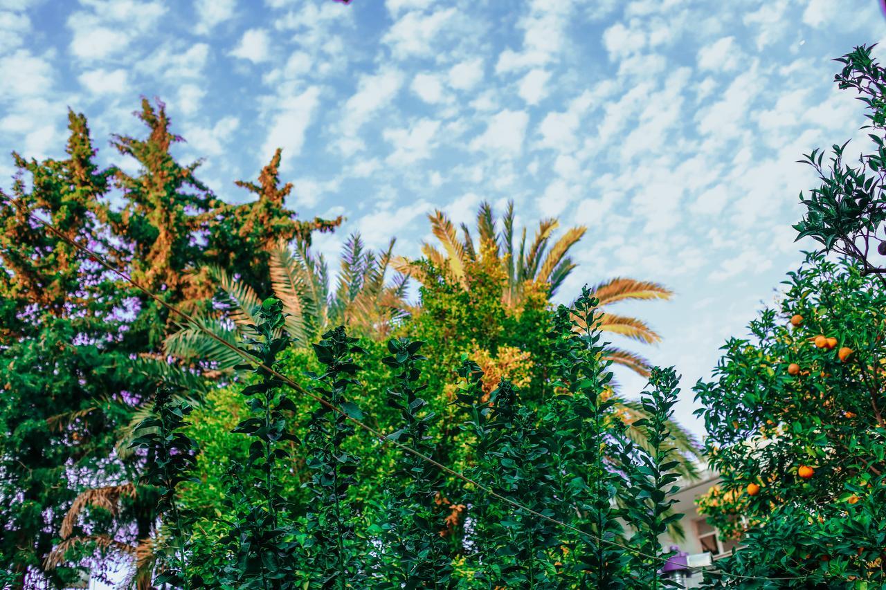 Hadrianus Pansion Hotel Antalya Exterior photo